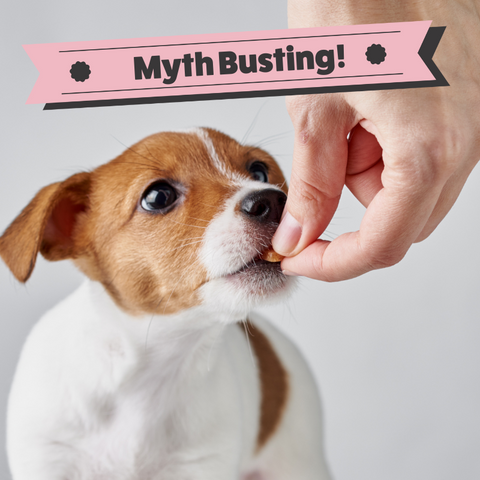 Debunking Myths: The Truth About Complete Dry Dog Food