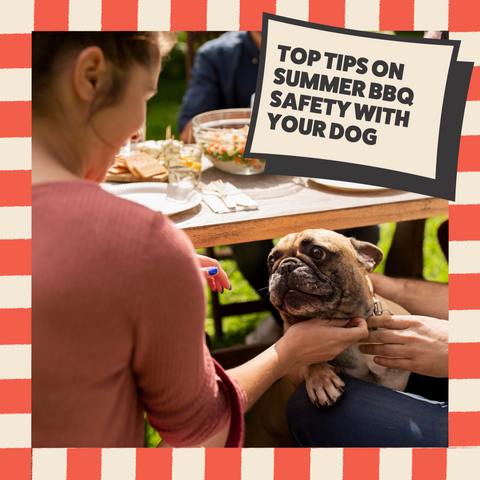 Keeping Your Dog Safe at a BBQ