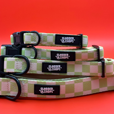 Green Checkerboard Collar