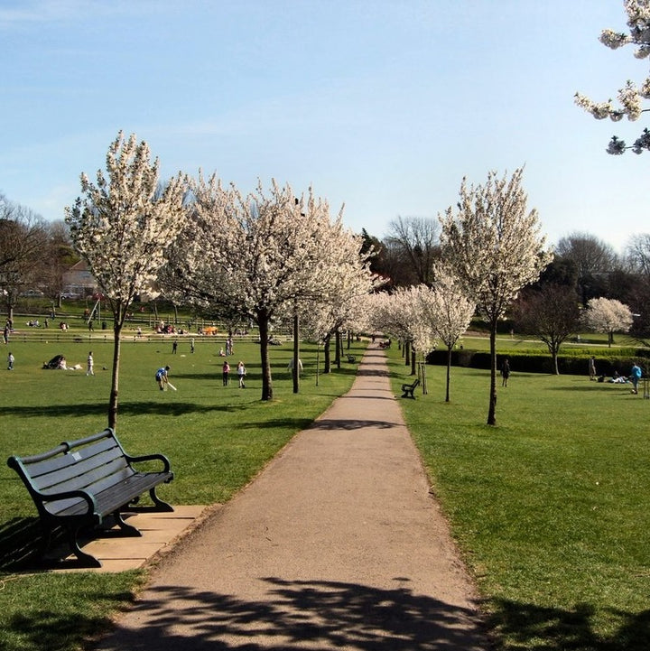 Dog Friendly Park Brighton - Hove Park - Tennis Courts - Children's Park - Dog walks 