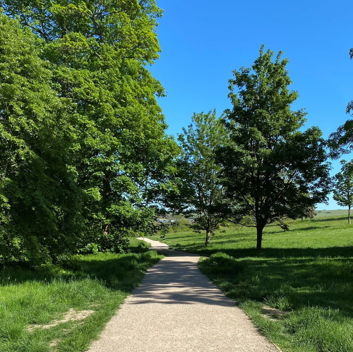 Dog Friendly Park Brighton - Stanmer Park - Stanmer House - One Garden