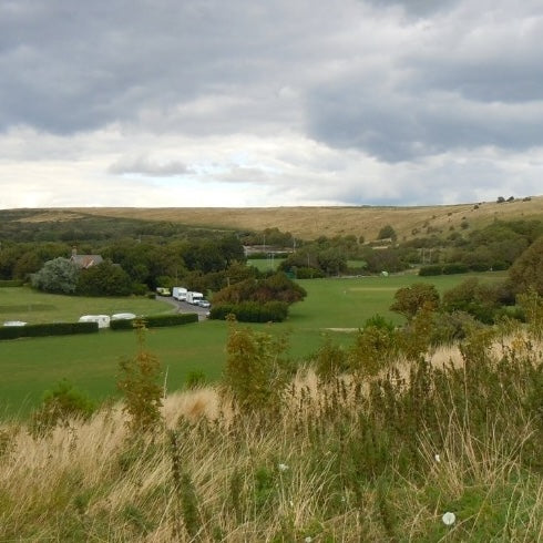 Dog Friendly Park Brighton - East Brighton Park - Fields - Whitehawk - Golf Course - Racecourse 