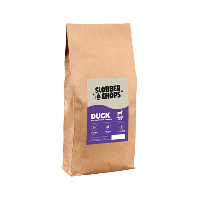 Healthy Dry Dog Food | Duck & Garden Vegetables with Orange Adult
