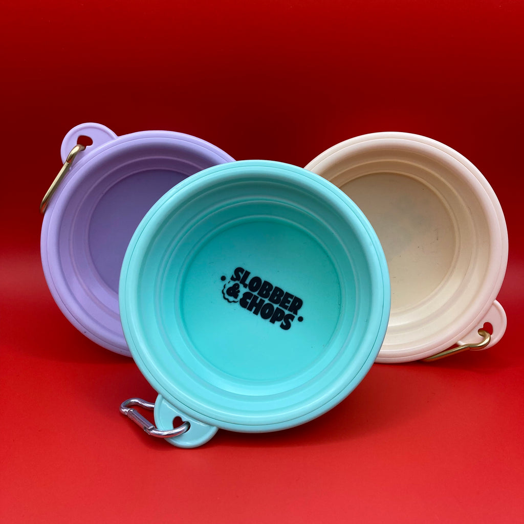 Slobber & Chops | Blue Pop-up Water Bowl | Buy Online