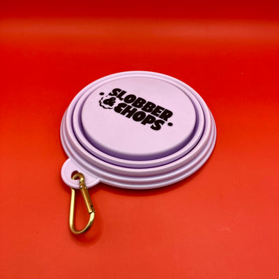 Purple Pop-up Water Bowl