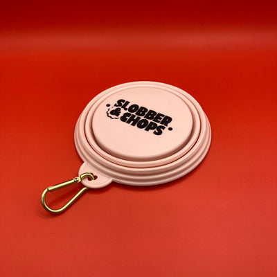 Pink Pop-up Water Bowl