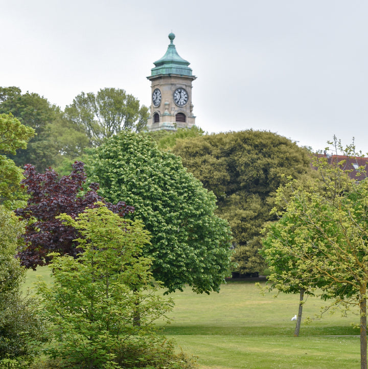 Dog Friendly Park Brighton - Queens Park - Kemptown - Duck Pond 