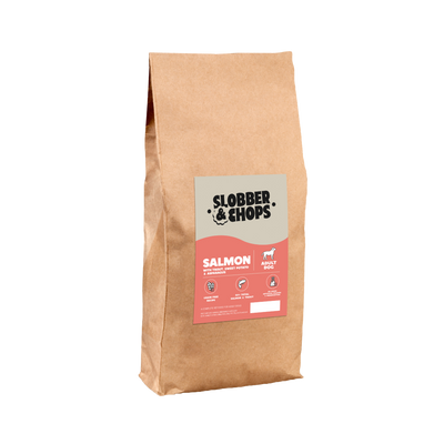 Healthy Dry Dog Food | Salmon, Trout & Garden Vegetables Adult