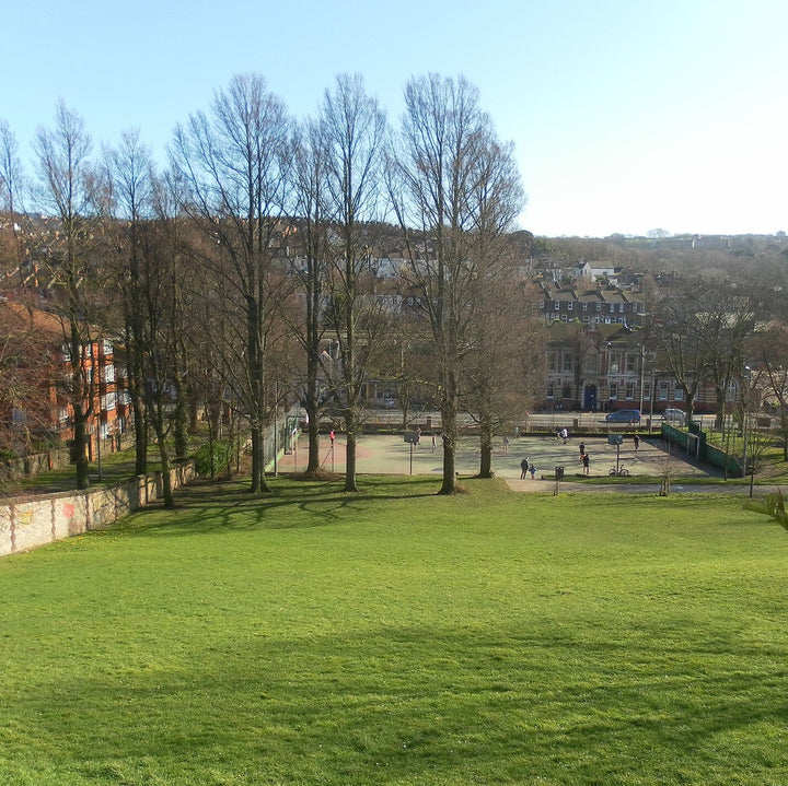 Dog Friendly Park Brighton - Saunders Park - Lewes Road