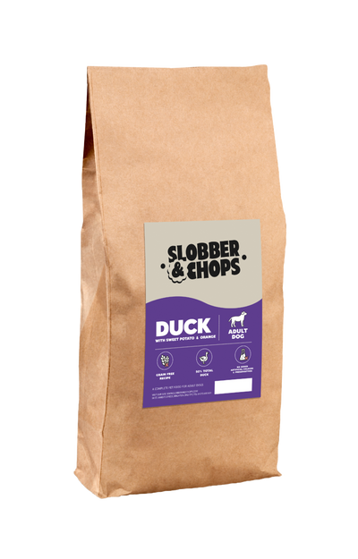 Healthy Dry Dog Food | Duck & Garden Vegetables with Orange Adult