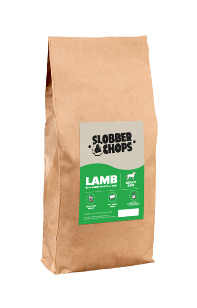 Healthy Dry Dog Food | Lamb & Garden Vegetables Adult
