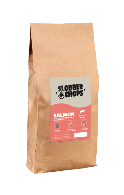 Healthy Dry Dog Food | Salmon, Trout & Garden Vegetables Adult