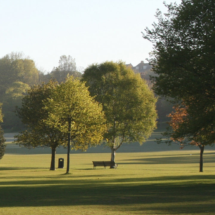 Dog Friendly Park Brighton - Preston Park - Japanese Garden 