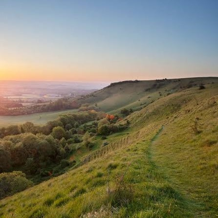 Dog Friendly Park Brighton - Dog Friendly Green Space - Walks - Trails - Footpath - Ditchling Beacon - South Downs