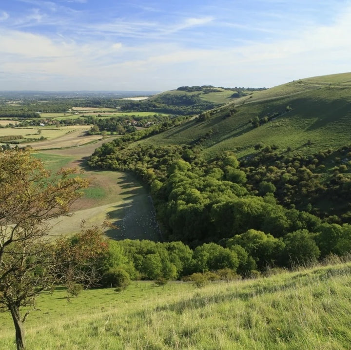 Dog Friendly Park Brighton - Devils Dyke - South Downs National Park 